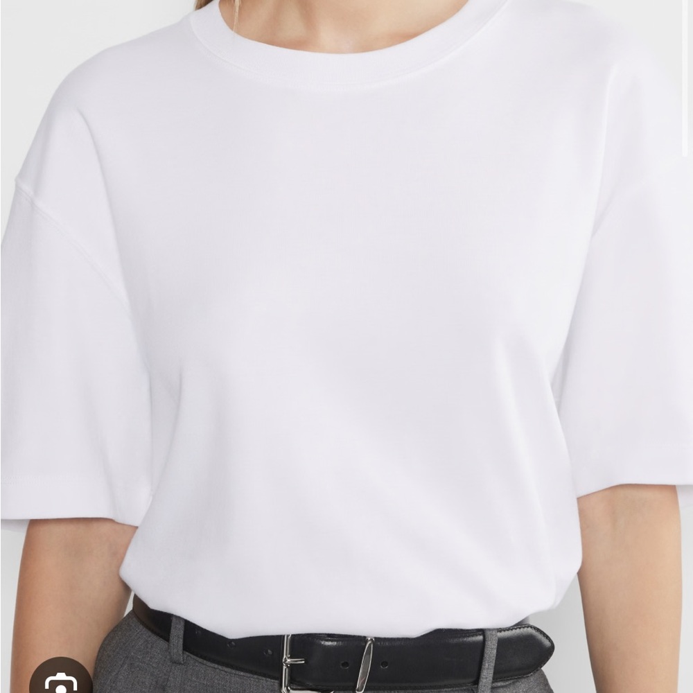 Aritzia Pegasus Tee